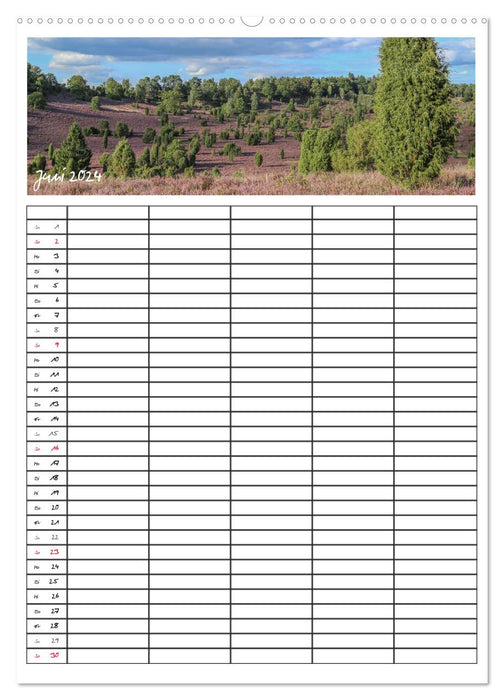 Lüneburger Heide - Faszinierend schön (CALVENDO Wandkalender 2024)