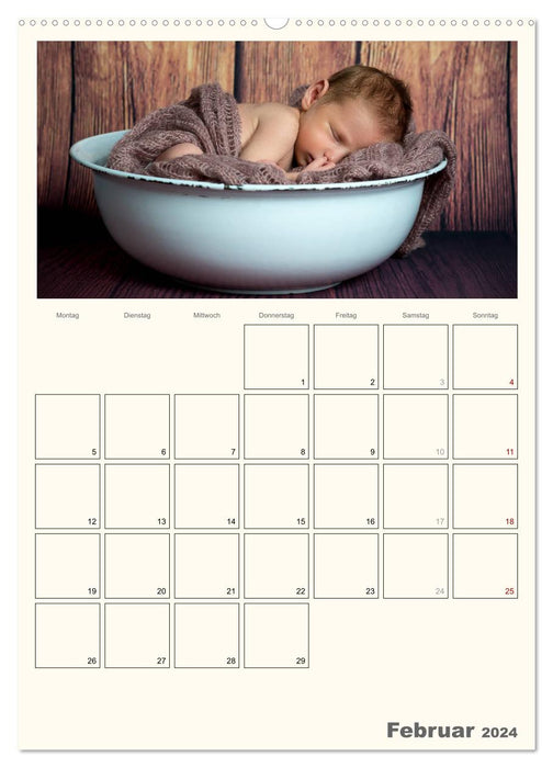 Winzigklein - Hallo Leben! (CALVENDO Premium Wandkalender 2024)
