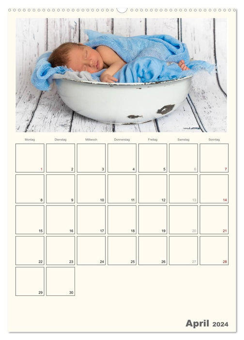 Minuscule - Bonjour la vie ! (Calendrier mural CALVENDO Premium 2024) 