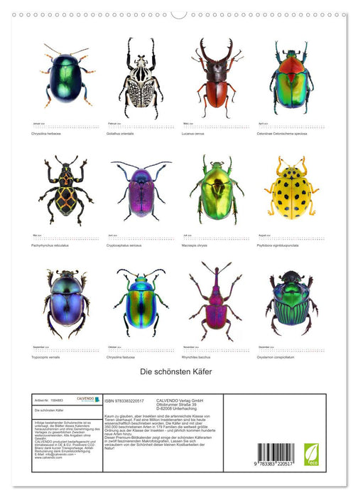 Die schönsten Käfer (CALVENDO Premium Wandkalender 2024)