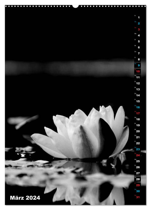 Floral niveaux de gris – Noir et blanc (calendrier mural CALVENDO Premium 2024) 