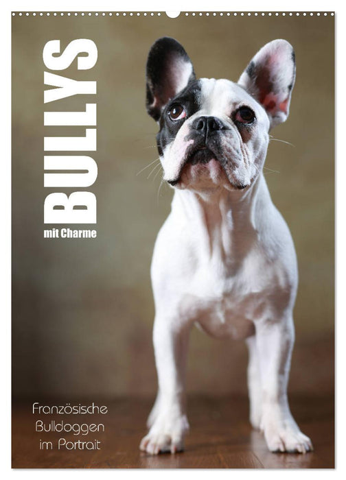 Bullies with charm - Bouledogue français en portrait (Calendrier mural CALVENDO 2024) 