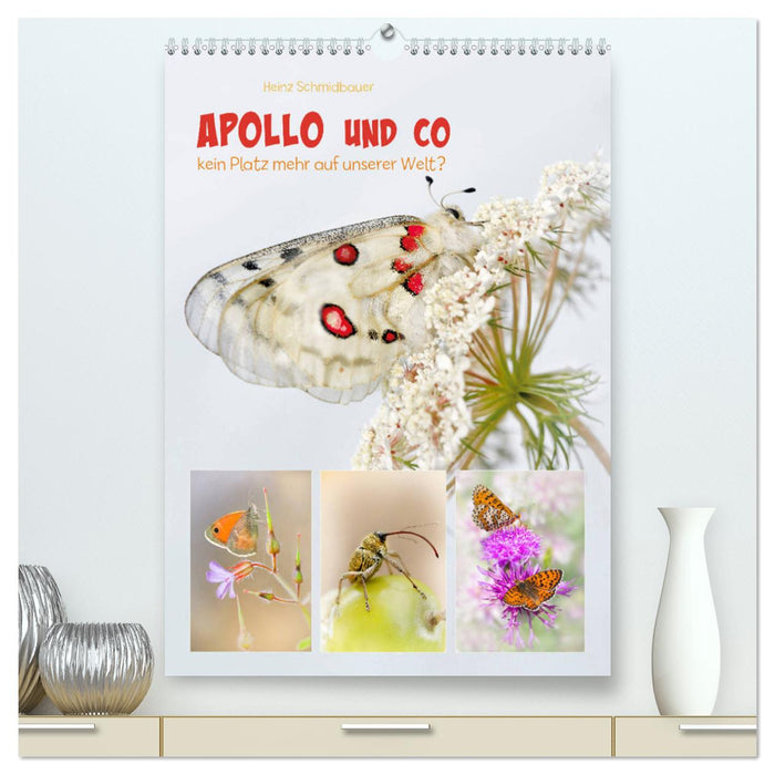 APOLLO AND CO (Calvendo Premium Calendrier mural 2024) 