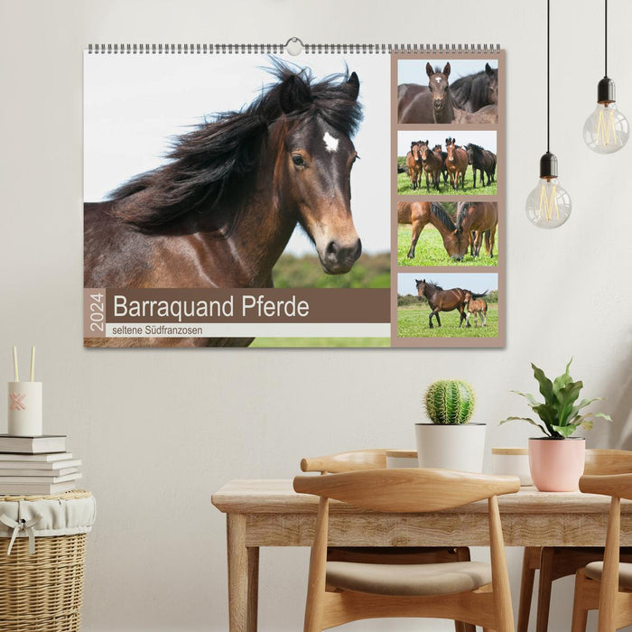 Barraquand Pferde - seltene Südfranzosen (CALVENDO Wandkalender 2024)
