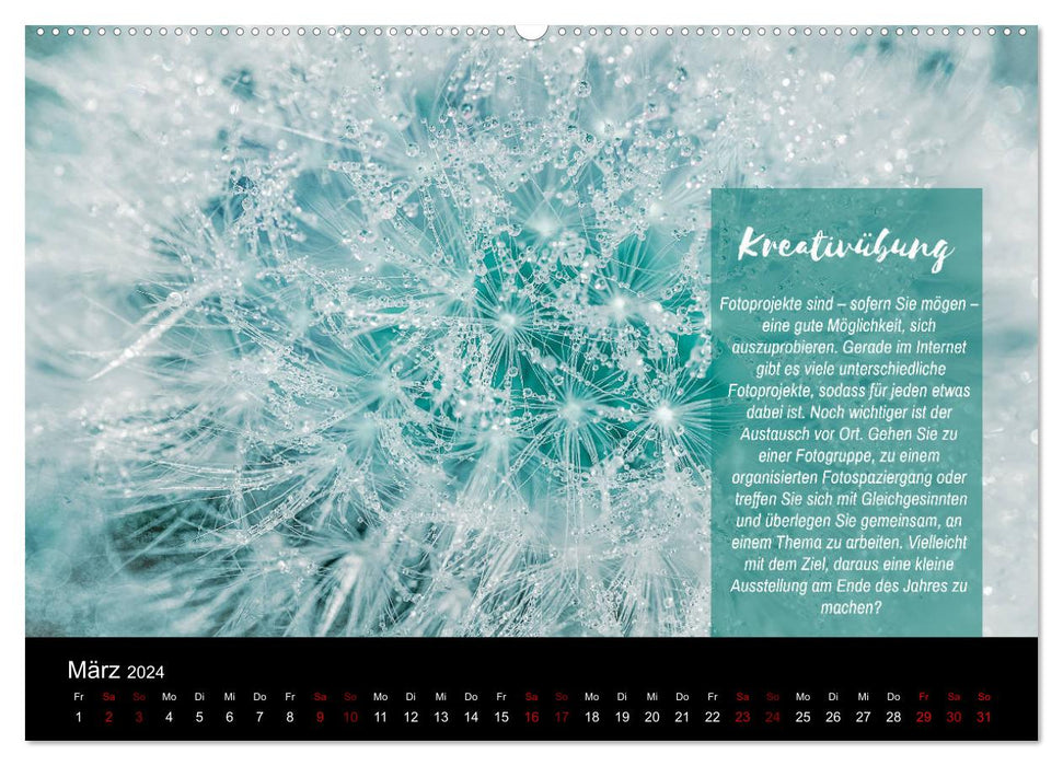 Die Schönheit der Natur - Naturfotografie-Kalender mit Foto- und Kreativübungen (CALVENDO Wandkalender 2024)