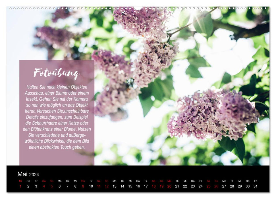 Die Schönheit der Natur - Naturfotografie-Kalender mit Foto- und Kreativübungen (CALVENDO Wandkalender 2024)