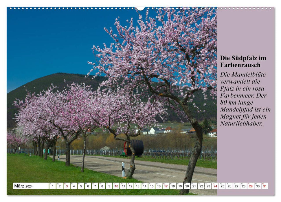 Reise in die Südpfalz (CALVENDO Premium Wandkalender 2024)