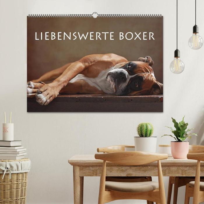 Liebenswerte Boxer (CALVENDO Wandkalender 2024)