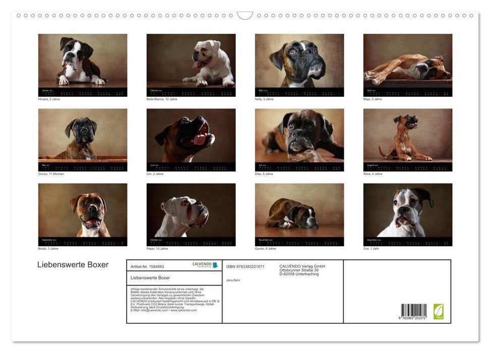 Boxers adorables (calendrier mural CALVENDO 2024) 