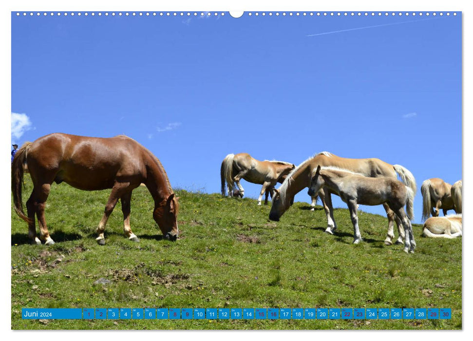 Tyrol du Sud - Haut Adige ...donne envie d'aller à la montagne (Calendrier mural CALVENDO Premium 2024) 