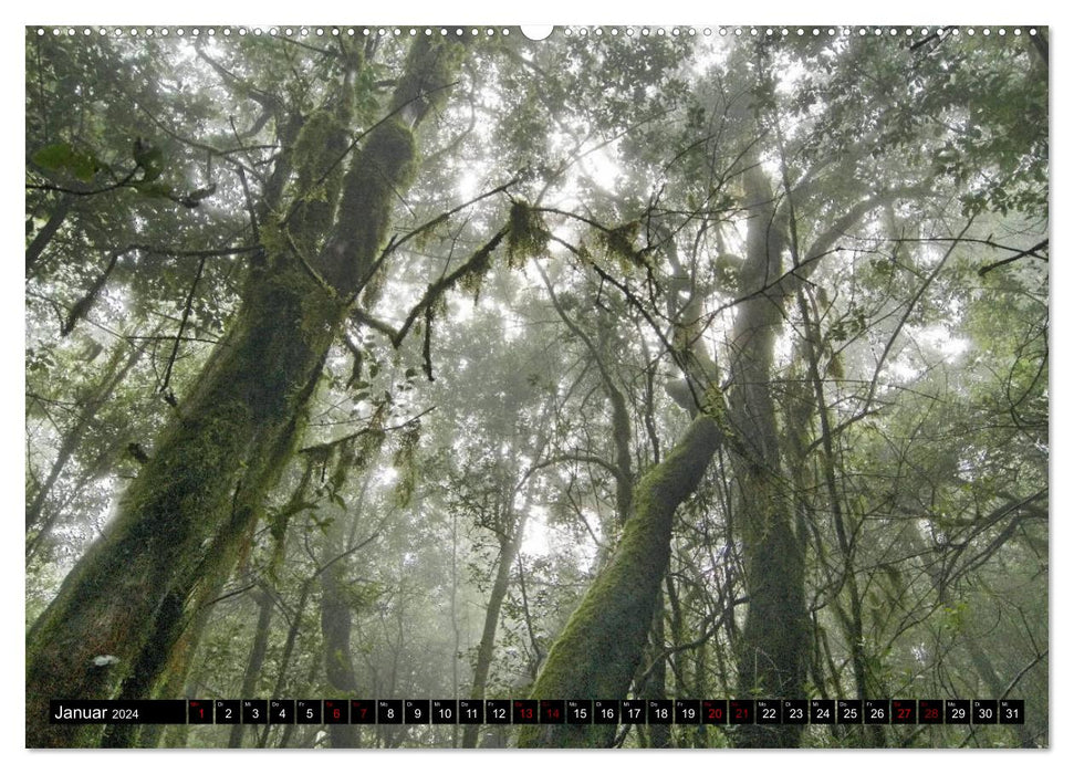 La Gomera - Ansichten und Aussichten (CALVENDO Wandkalender 2024)