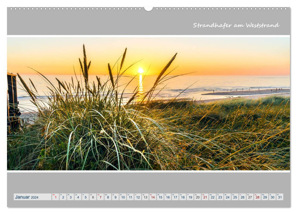 Panorama de l'île de SYLT (Calendrier mural CALVENDO 2024) 