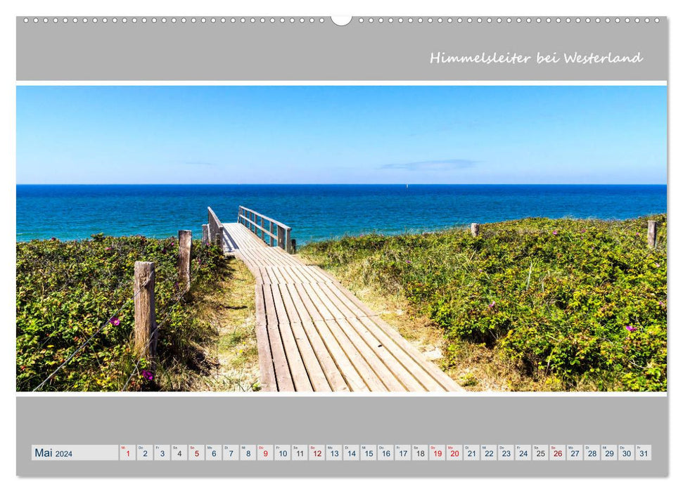 Panorama de l'île de SYLT (Calendrier mural CALVENDO 2024) 