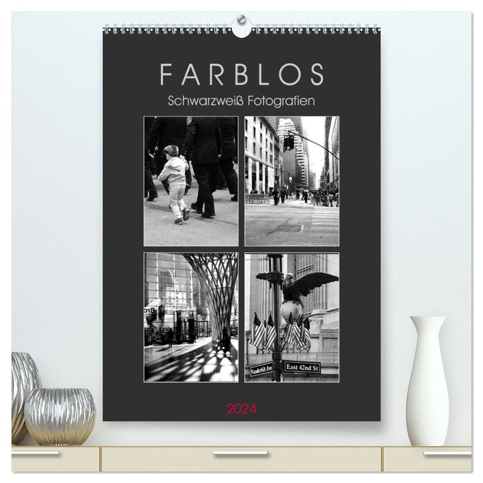 F A R B L O S - Schwarzweiß Fotografien (CALVENDO Premium Wandkalender 2024)