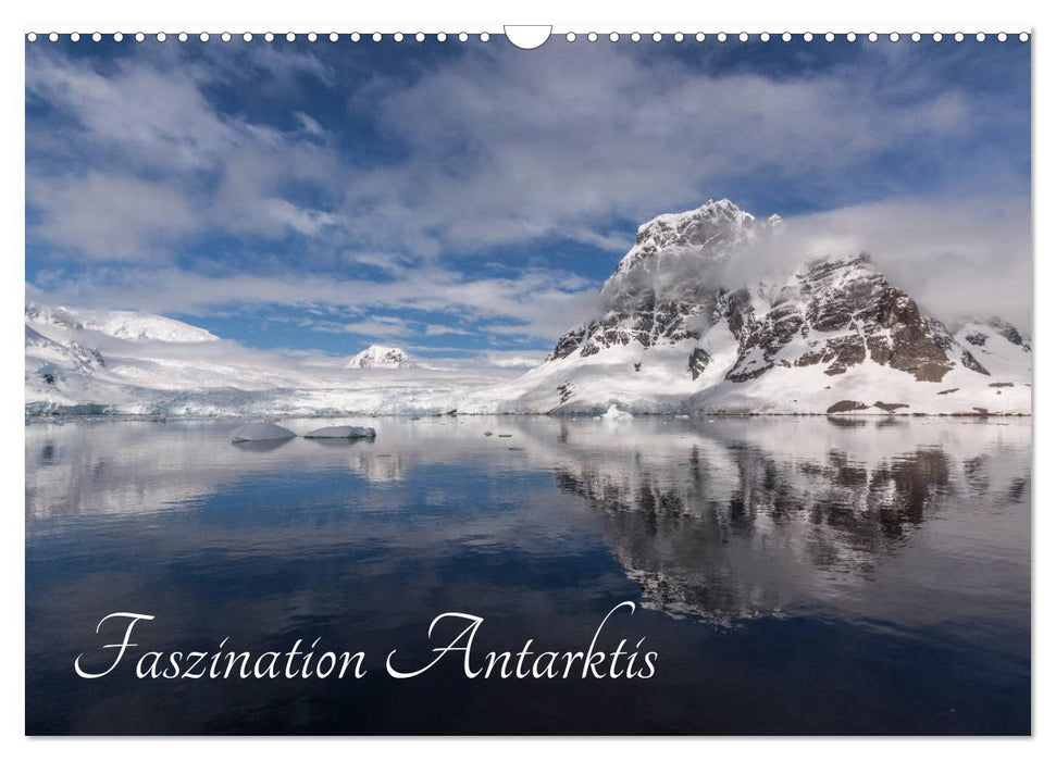 Fascination de l'Antarctique (Calendrier mural CALVENDO 2024) 