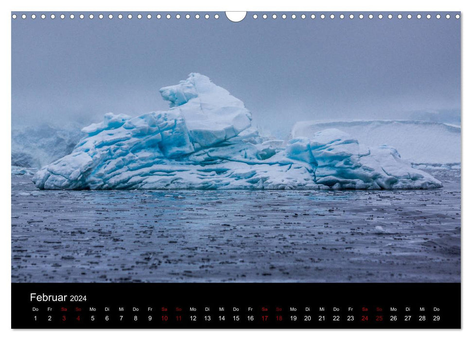 Fascination de l'Antarctique (Calendrier mural CALVENDO 2024) 