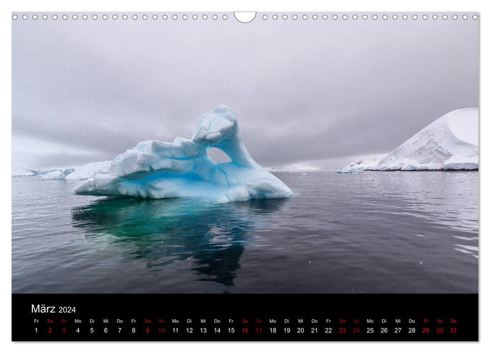 Fascination de l'Antarctique (Calendrier mural CALVENDO 2024) 