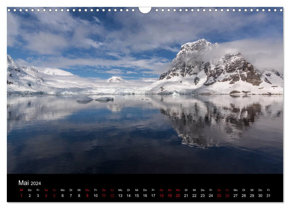 Fascination de l'Antarctique (Calendrier mural CALVENDO 2024) 