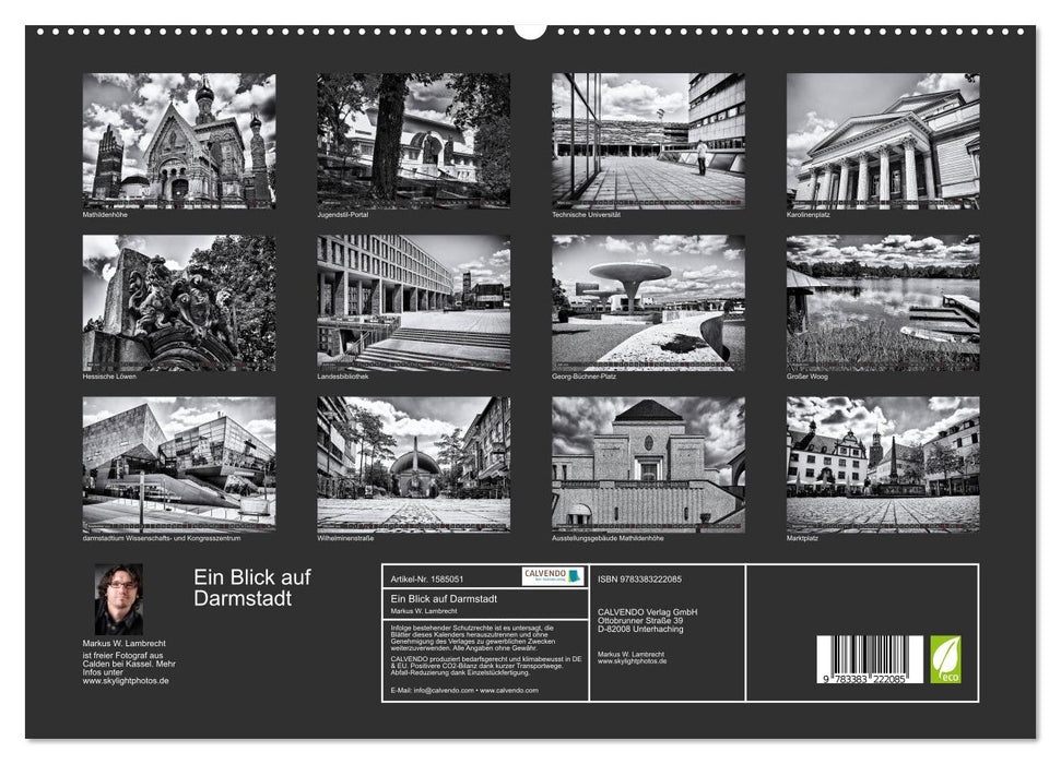 Un regard sur Darmstadt (Calendrier mural CALVENDO Premium 2024) 