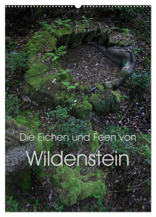 Die Eichen und Feen von Wildenstein (CALVENDO Wandkalender 2024)