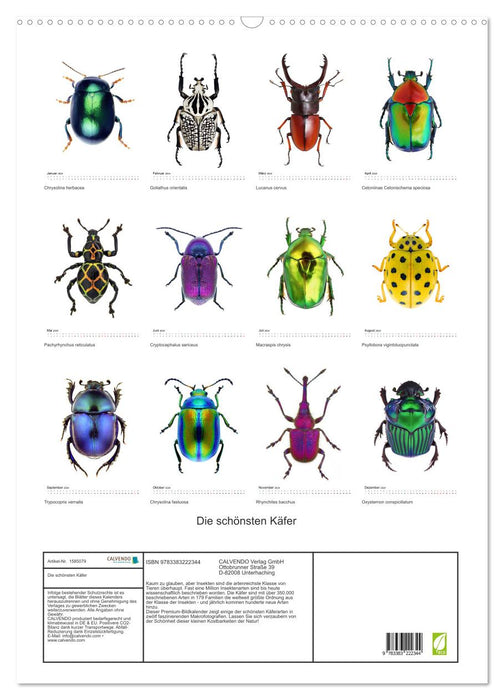 Die schönsten Käfer (CALVENDO Wandkalender 2024)
