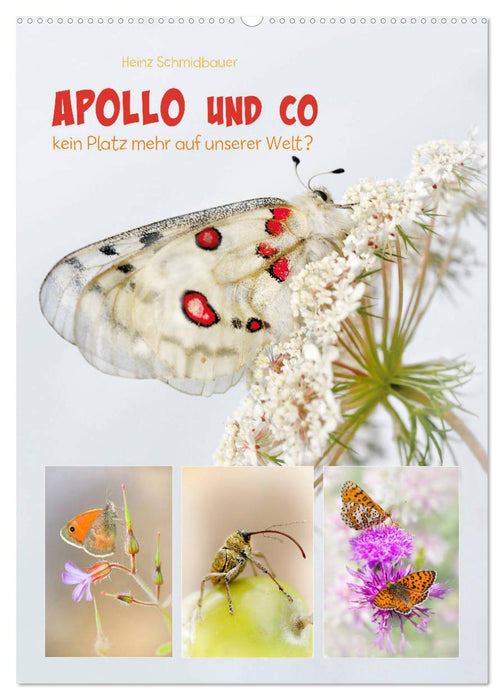 APOLLO AND CO (Calendrier mural CALVENDO 2024) 