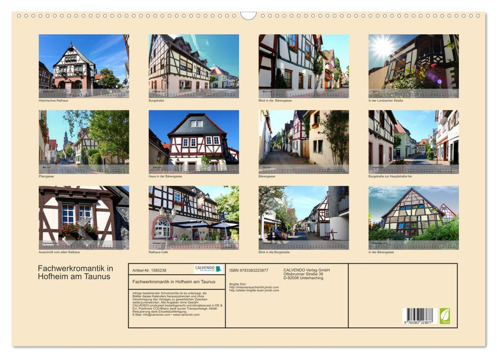 Fachwerkromantik in Hofheim am Taunus (CALVENDO Wandkalender 2024)