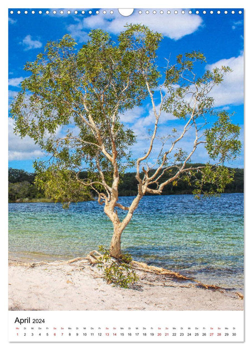 Australien träumen und erleben (CALVENDO Wandkalender 2024)