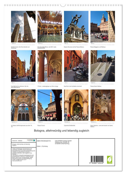 Bologna, altehrwürdig und lebendig zugleich (CALVENDO Premium Wandkalender 2024)