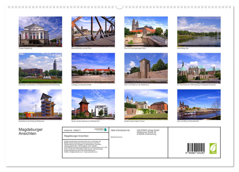 Vues de Magdebourg (Calvendo Premium Calendrier mural 2024) 