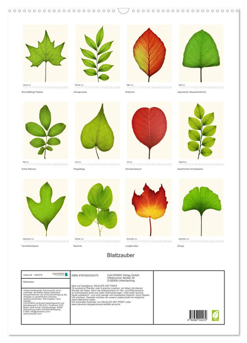 Magie des feuilles (Calendrier mural CALVENDO 2024) 