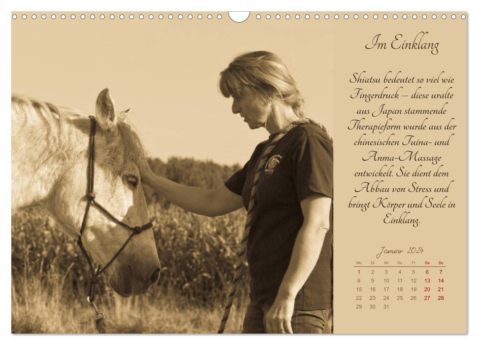Shiatsu pour chevaux - photos de Meike Bölts (calendrier mural CALVENDO 2024) 