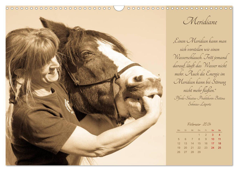 Shiatsu pour chevaux - photos de Meike Bölts (calendrier mural CALVENDO 2024) 