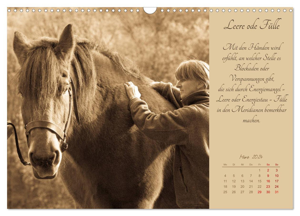 Shiatsu pour chevaux - photos de Meike Bölts (calendrier mural CALVENDO 2024) 