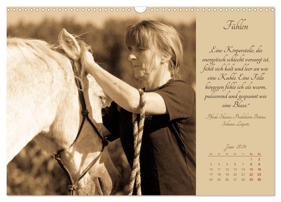 Shiatsu pour chevaux - photos de Meike Bölts (calendrier mural CALVENDO 2024) 