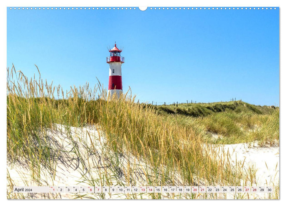 SYLT dune paths (CALVENDO wall calendar 2024) 