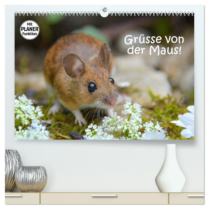 Salutations de la souris ! (Calendrier mural CALVENDO Premium 2024) 