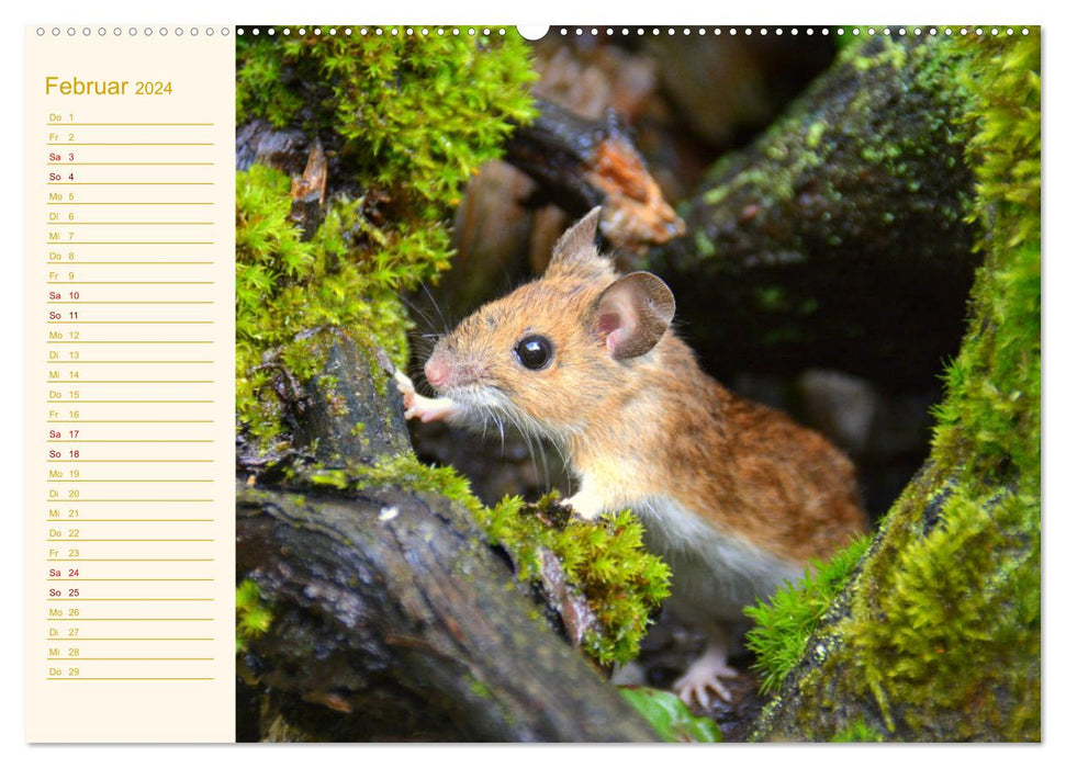 Salutations de la souris ! (Calendrier mural CALVENDO Premium 2024) 