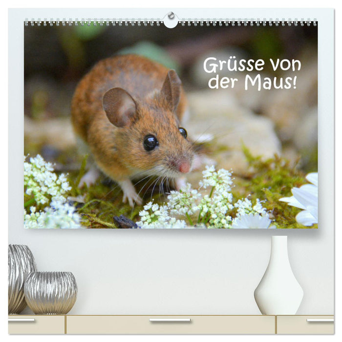 Grüsse von der Maus! (CALVENDO Premium Wandkalender 2024)