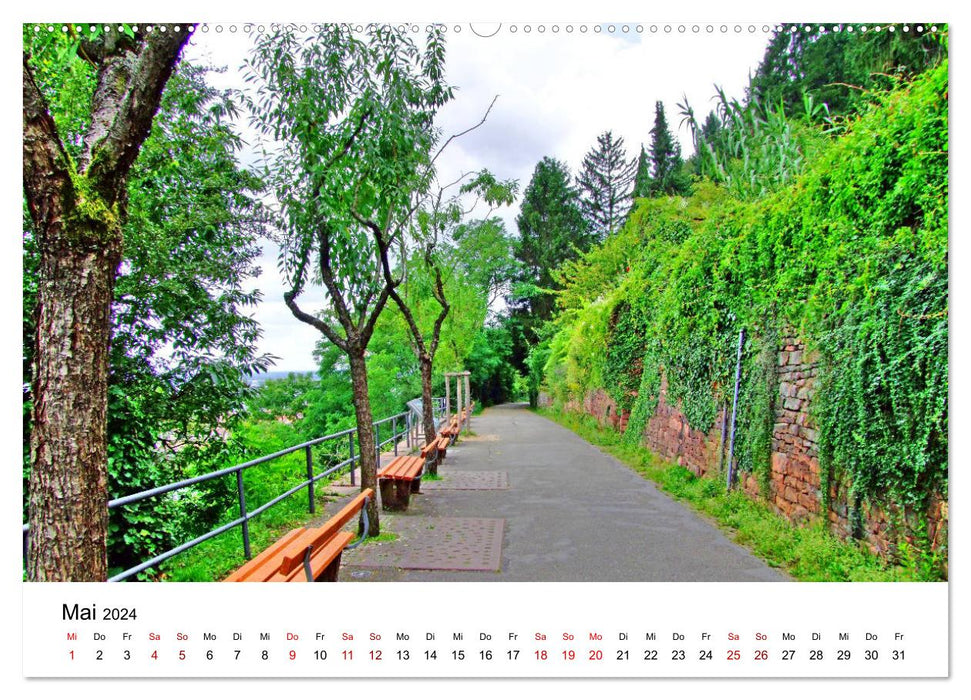 Heidelberg - Heiligenberg and Philosophenweg (CALVENDO wall calendar 2024) 