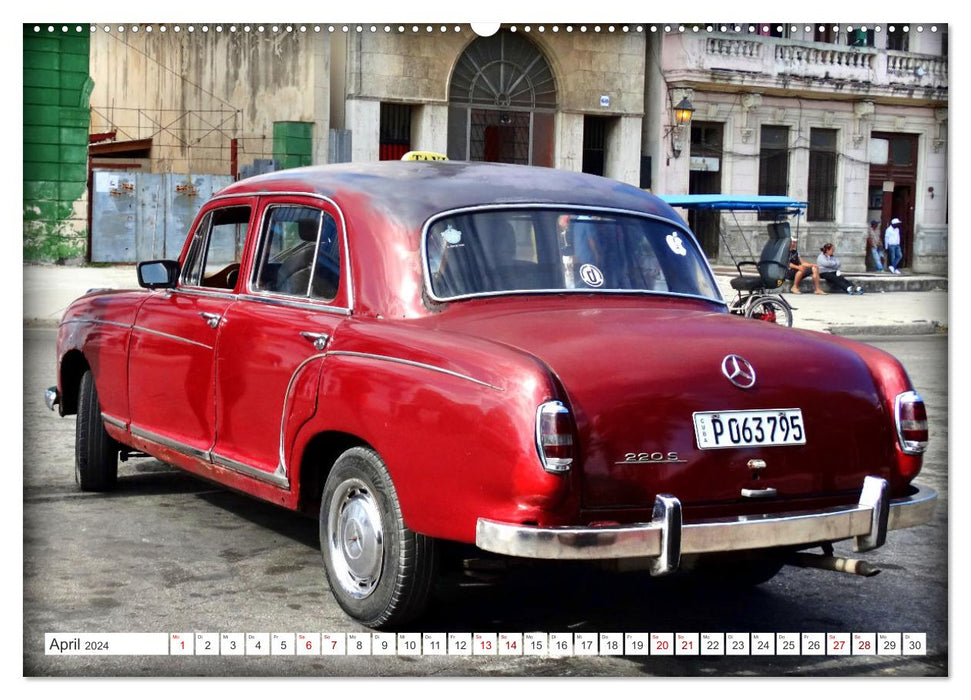Best of Ponton - Der Klassiker von Mercedes-Benz in Kuba (CALVENDO Wandkalender 2024)