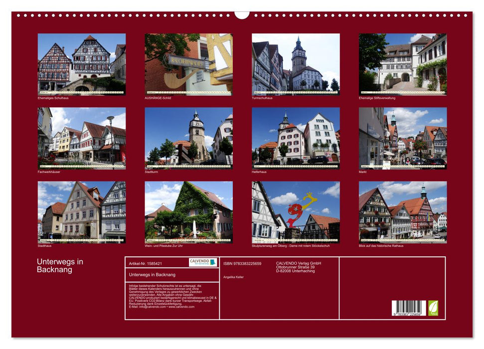 Out and about in Backnang (CALVENDO wall calendar 2024) 