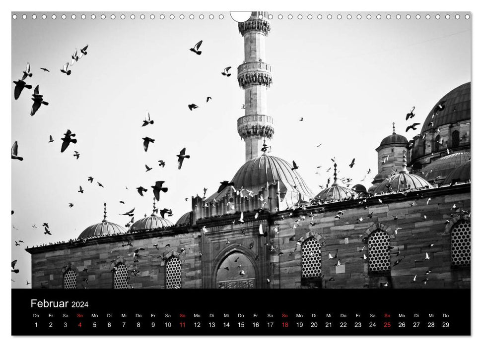 Istanbul - Ville colorée en noir et blanc (Calendrier mural CALVENDO 2024) 