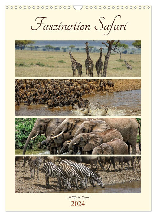 Fascination du safari. Faune au Kenya (calendrier mural CALVENDO 2024) 