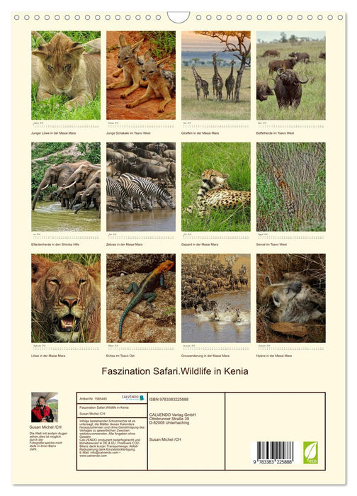 Faszination Safari. Wildlife in Kenia (CALVENDO Wandkalender 2024)