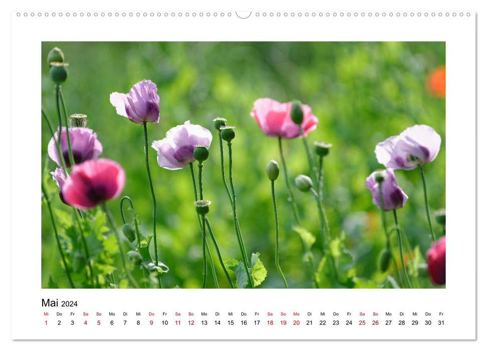 Garden idyll 2024 (CALVENDO wall calendar 2024) 