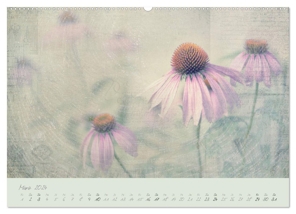 Shabby is Chic (Calendrier mural CALVENDO Premium 2024) 