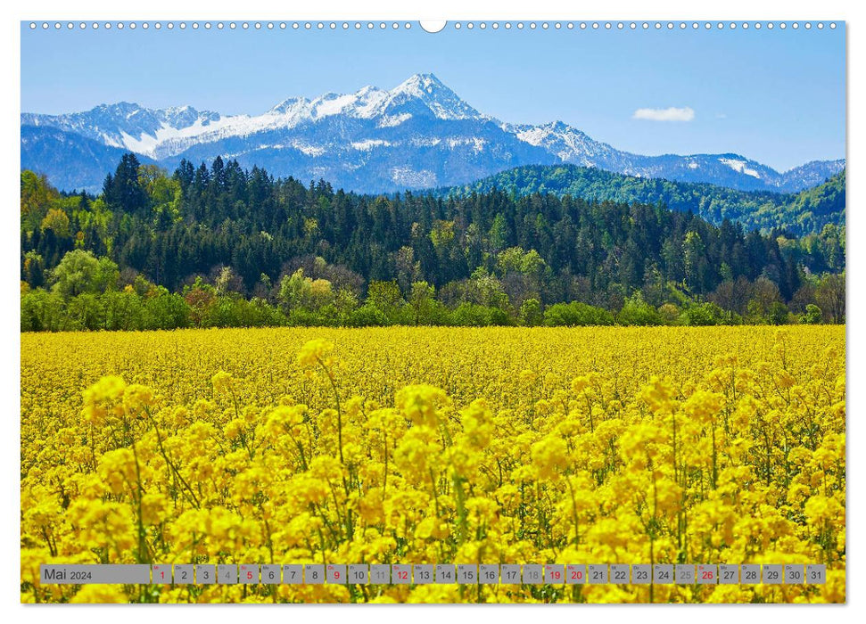 Carinthia (CALVENDO wall calendar 2024) 