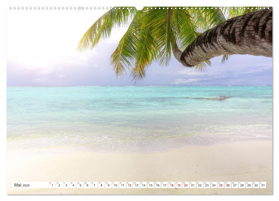 Maldives, perle de l'océan Indien (Calendrier mural CALVENDO 2024) 