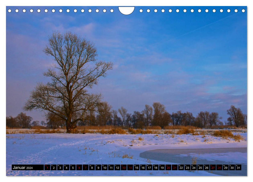 Oderlandschaft (CALVENDO Wandkalender 2024)